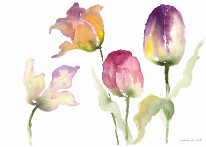 Picture of LAVENDER HUES TULIPS I