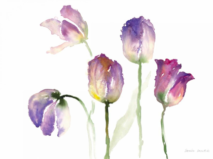 Picture of LAVENDER HUES TULIPS II