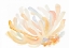 Picture of WATERCOLOR CORAL