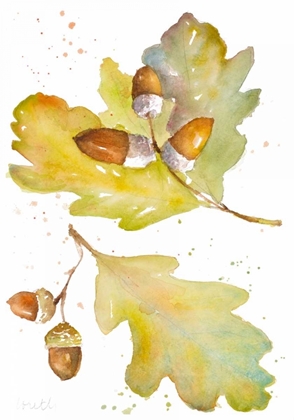 Picture of ACORNS AND OAK LEAVES II