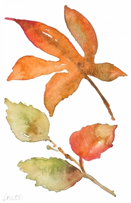 Picture of RUSTIC AUTUMN LEAVES I