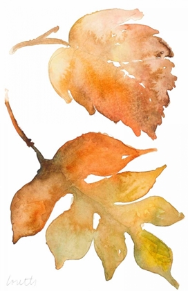 Picture of RUSTIC AUTUMN LEAVES II