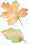 Picture of RUSTIC AUTUMN LEAVES III