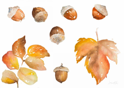 Picture of TAWNY AUTUMN LEAVES AND ACORNS