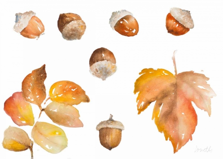 Picture of TAWNY AUTUMN LEAVES AND ACORNS