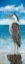 Picture of HERON IN THE VIEW I