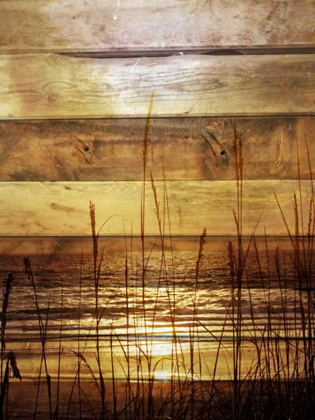 Picture of BY THE GRASS SUNSET WOOD