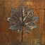 Picture of MAPLE II