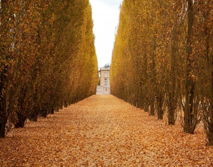 Picture of VERSAILLES IN FALL II