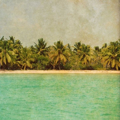 Picture of DOMINICAN REPUBLIC I