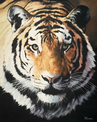 Picture of TIGER