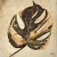 Picture of GOLD CONTEMPORARY LEAVES II