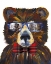 Picture of BEARY COOL