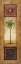 Picture of PALM IN THE SUNLIGHT