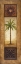 Picture of SAGO PALM