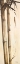 Picture of SEPIA GUADUA BAMBOO I