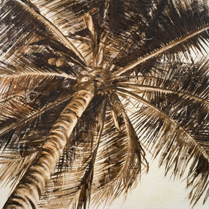 Picture of COCONUT PALM II