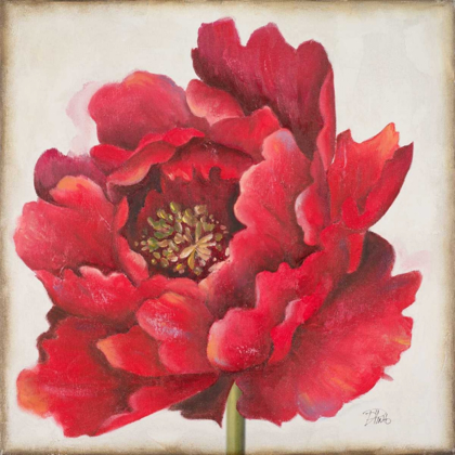 Picture of RED PEONY