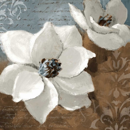 Picture of WHITE MAGNOLIAS I