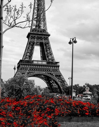 Picture of EIFFEL TOWER WITH RED POP