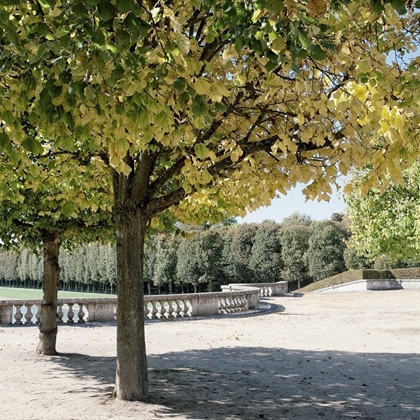 Picture of PARISIAN STROLL III