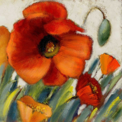 Picture of POPPY SPLENDOR SQUARE II 