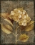 Picture of ANTIQUE HYDRANGEA I