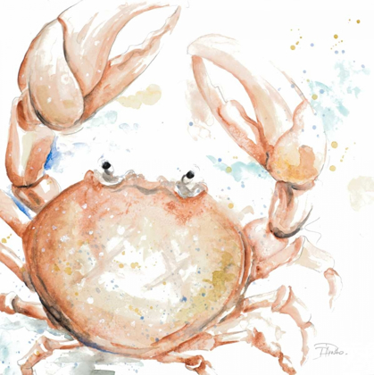 Picture of WATER CRAB
