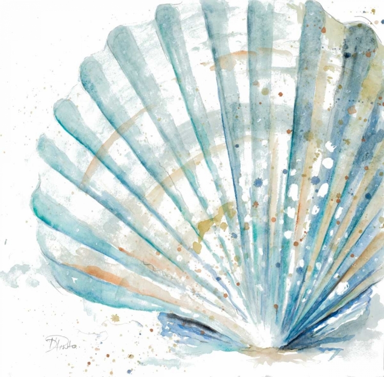 Picture of WATER SHELL