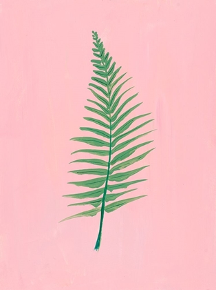 Picture of PINK FERN II