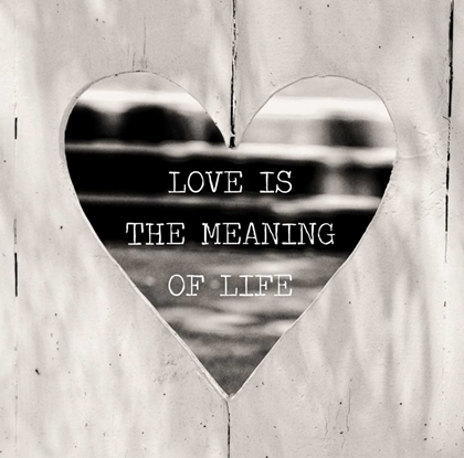 Picture of LOVE IS THE MEANING