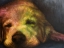 Picture of DOG DAY AFTERNOON