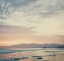 Picture of ON THE COAST