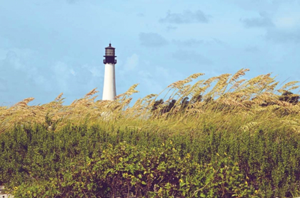 Picture of LIGHTHOUSE VIEW