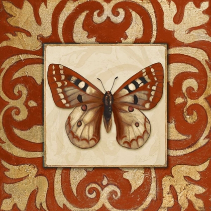 Picture of MOROCCAN BUTTERFLY I
