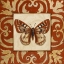 Picture of MOROCCAN BUTTERFLY I