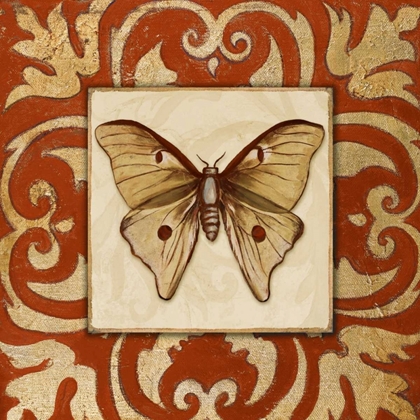 Picture of MOROCCAN BUTTERFLY II