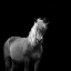 Picture of THE MARE