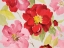 Picture of FLORAL DELICATE IN PINK I