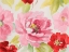 Picture of FLORAL DELICATE IN PINK II