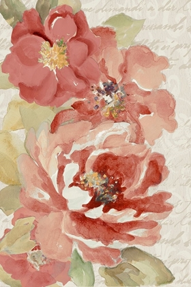 Picture of BLOSSOMS ON SCRIPT