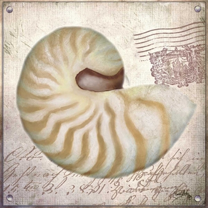 Picture of BEACH SHELL III