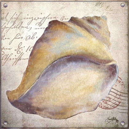 Picture of BEACH SHELL II