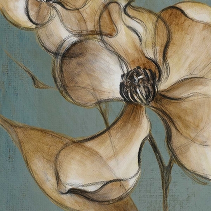 Picture of TRANSLUCENT MAGNOLIAS