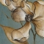 Picture of TRANSLUCENT MAGNOLIAS