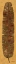 Picture of BANANA LEAF I