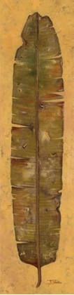 Picture of BANANA LEAF II