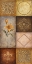 Picture of SIMPLICITY II