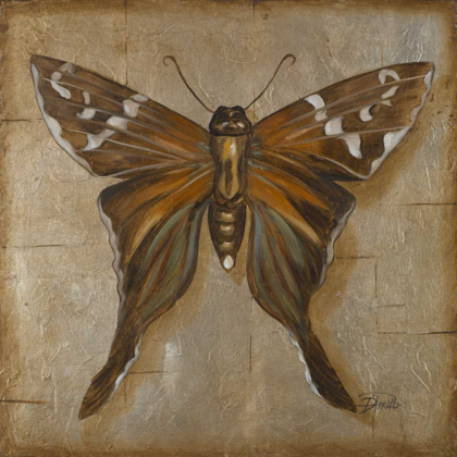 Picture of BROWN BUTTERFLY