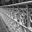 Picture of WALK ACROSS II